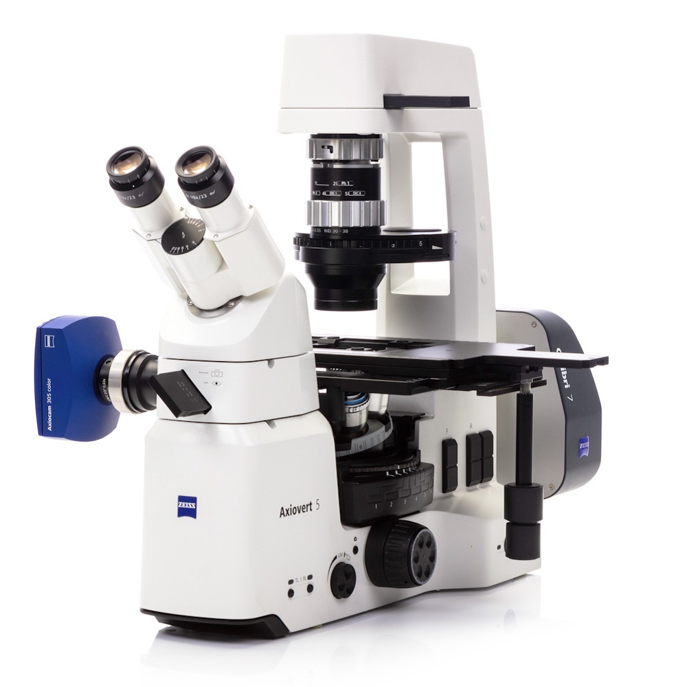 Carl Zeiss Microscopy, LLC - Axiovert 5 RL SCB f/BF DF - 491239-0013-000